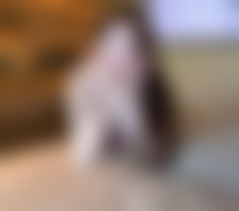 ✨GOOD service✨ LEEDS✨ Asian Escorts LS11